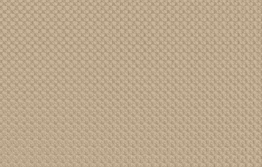 FRAÇÃO 50% - LOURO FREIJO PORO 15MM - 2750X920MM - G5089 - Sem Categoria