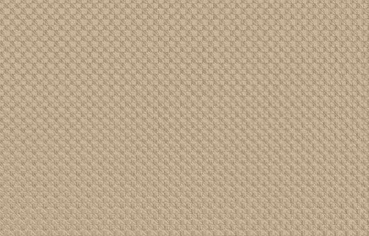 FRAÇÃO 50% - LOURO FREIJO PORO 15MM - 2750X920MM - G5089 - Sem Categoria